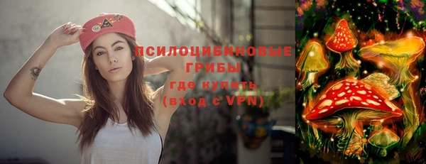 apvp Гатчина