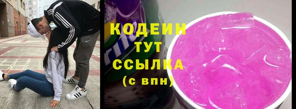 гидра Покачи