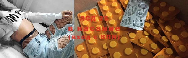 гидра Покачи