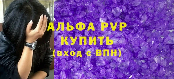 гидра Покачи