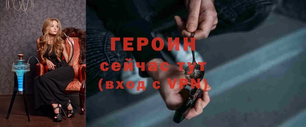 гидра Покачи