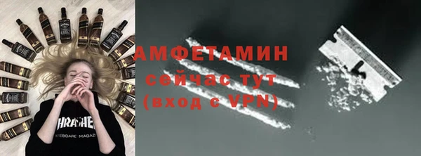 гидра Покачи