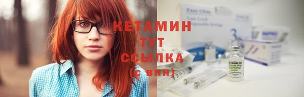 гидра Покачи