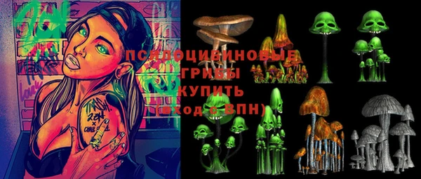 дмт Покровск