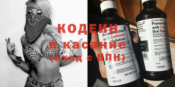 гидра Покачи