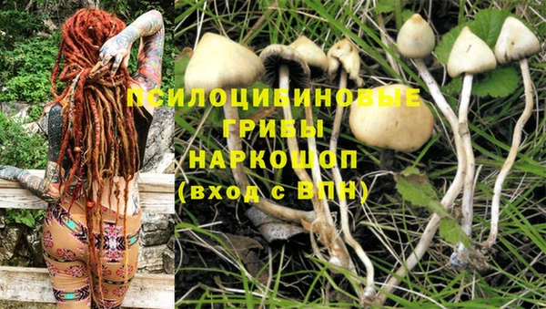 экстази Приозерск