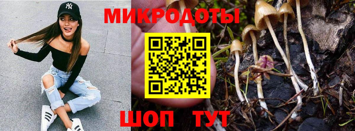 Аксай  Галлюциногенные грибы GOLDEN TEACHER  Галлюциногенные грибы мухоморы  купить  цена  Вход с VPN 